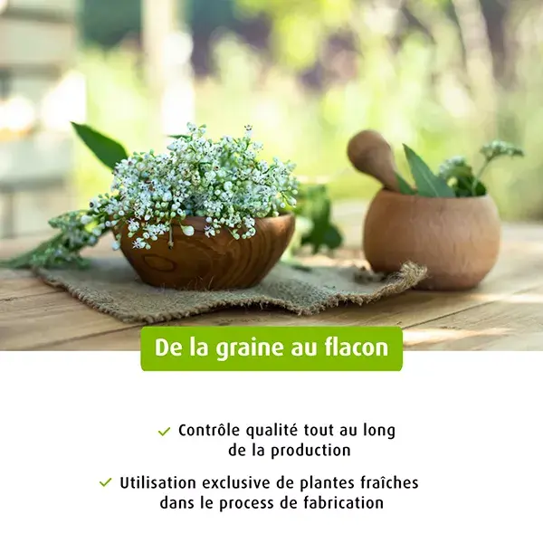 A.Vogel Valeriana Relaxante para Dormir 50ml