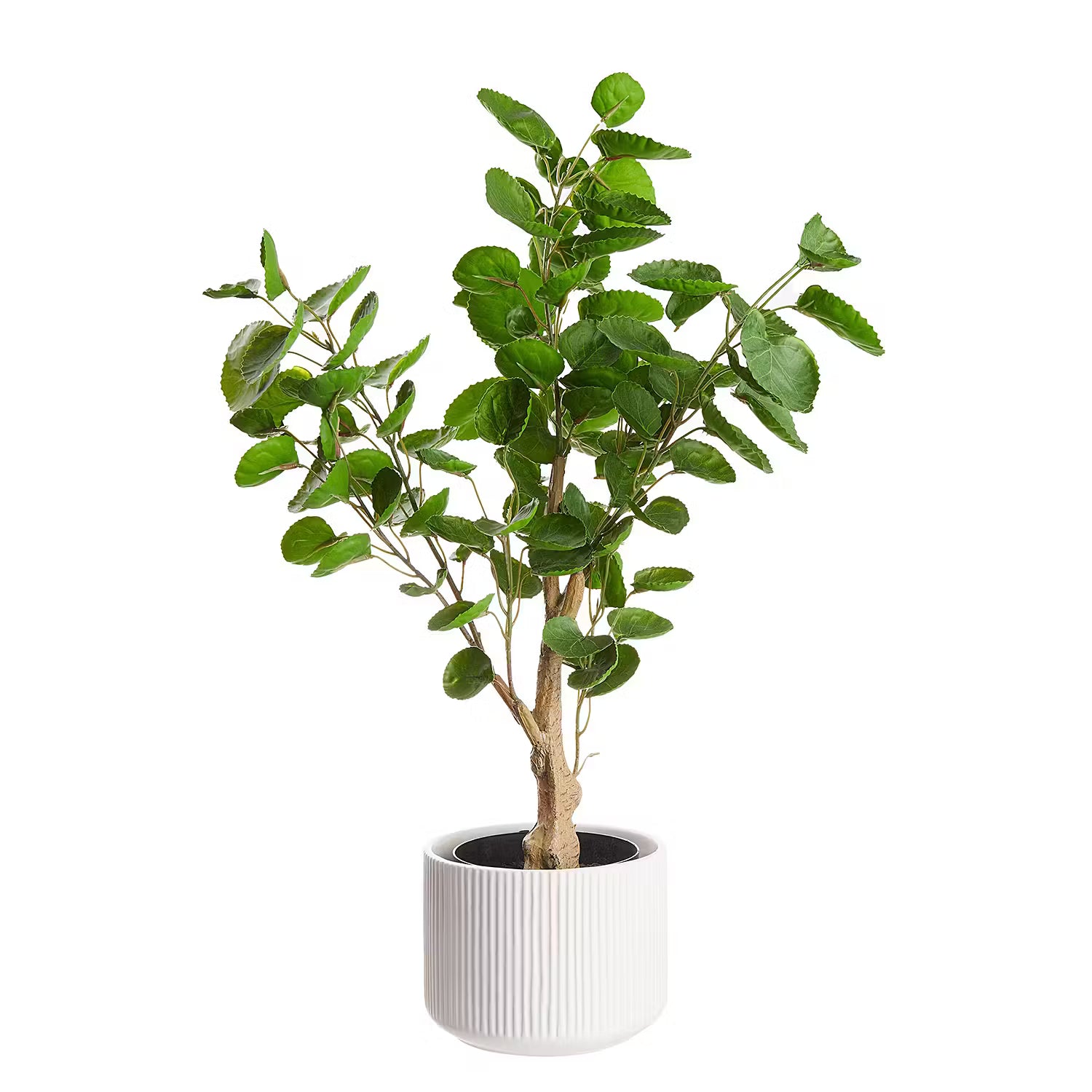 LIV Blumentopf
