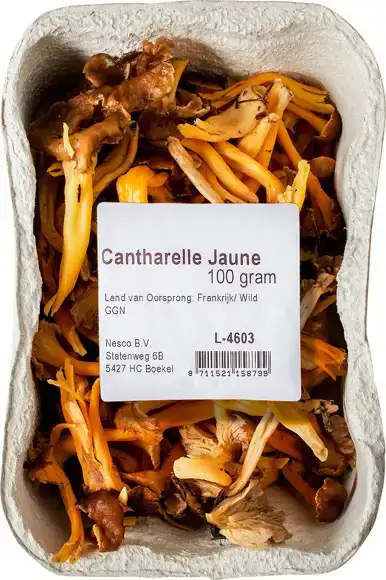 Jaune cantharellen