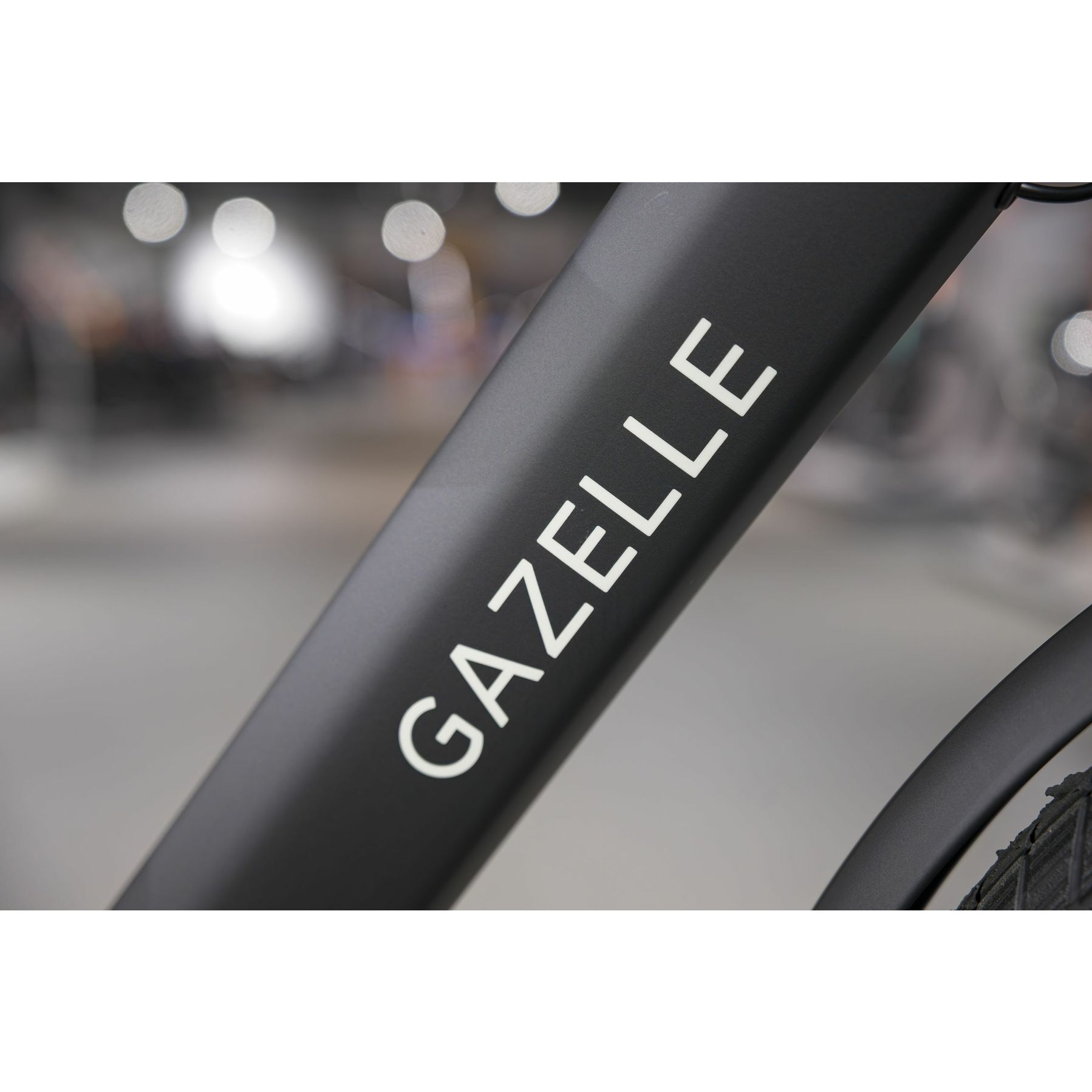 Gazelle Bloom C7 2026