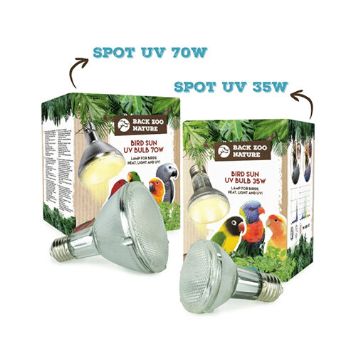 Back Zoo Nature Bird Sun UV-Lamp