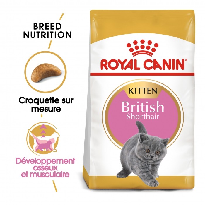 Royal Canin British Shorthair Kitten