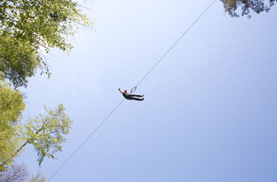 Ziplinepark in Elmstein – von Baum zu Baum