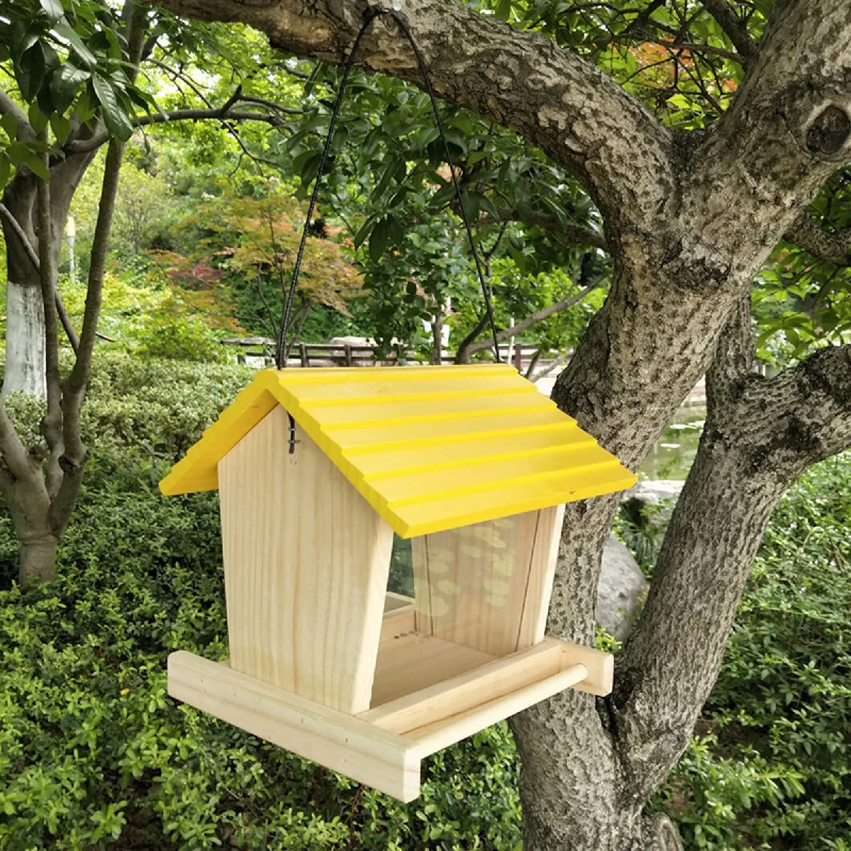 Maison d'Oiseau Extérieur - Universal