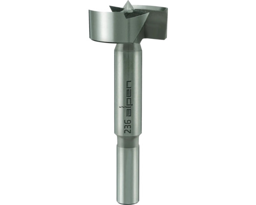 Forstner boor Alpen Ø 15 mm