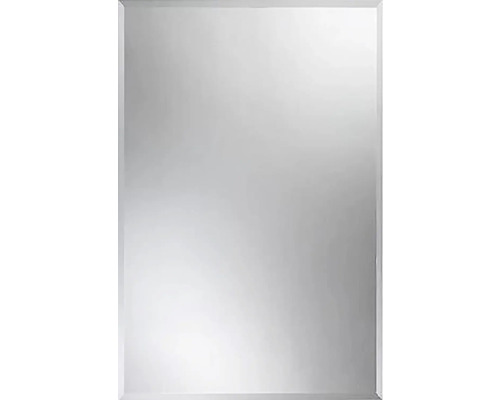 Kristallen spiegel 90 x 60 cm met afgeschuinde rand