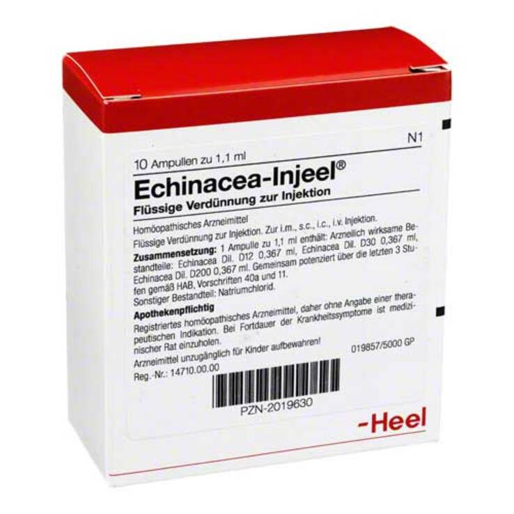 Echinacea Injeel Ampullen, 10 St