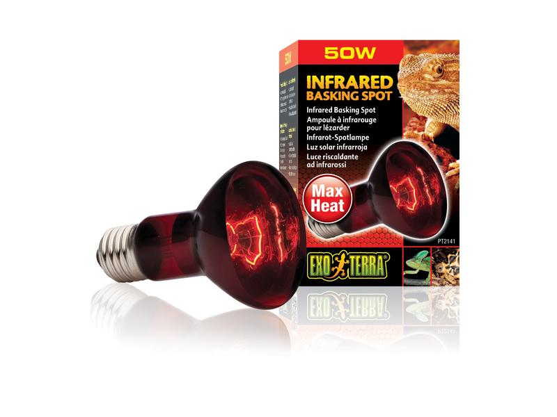Exo Terra Terrarienlampe Infrared Basking Spot E27, R20/50W Infrarot-Spotlampe