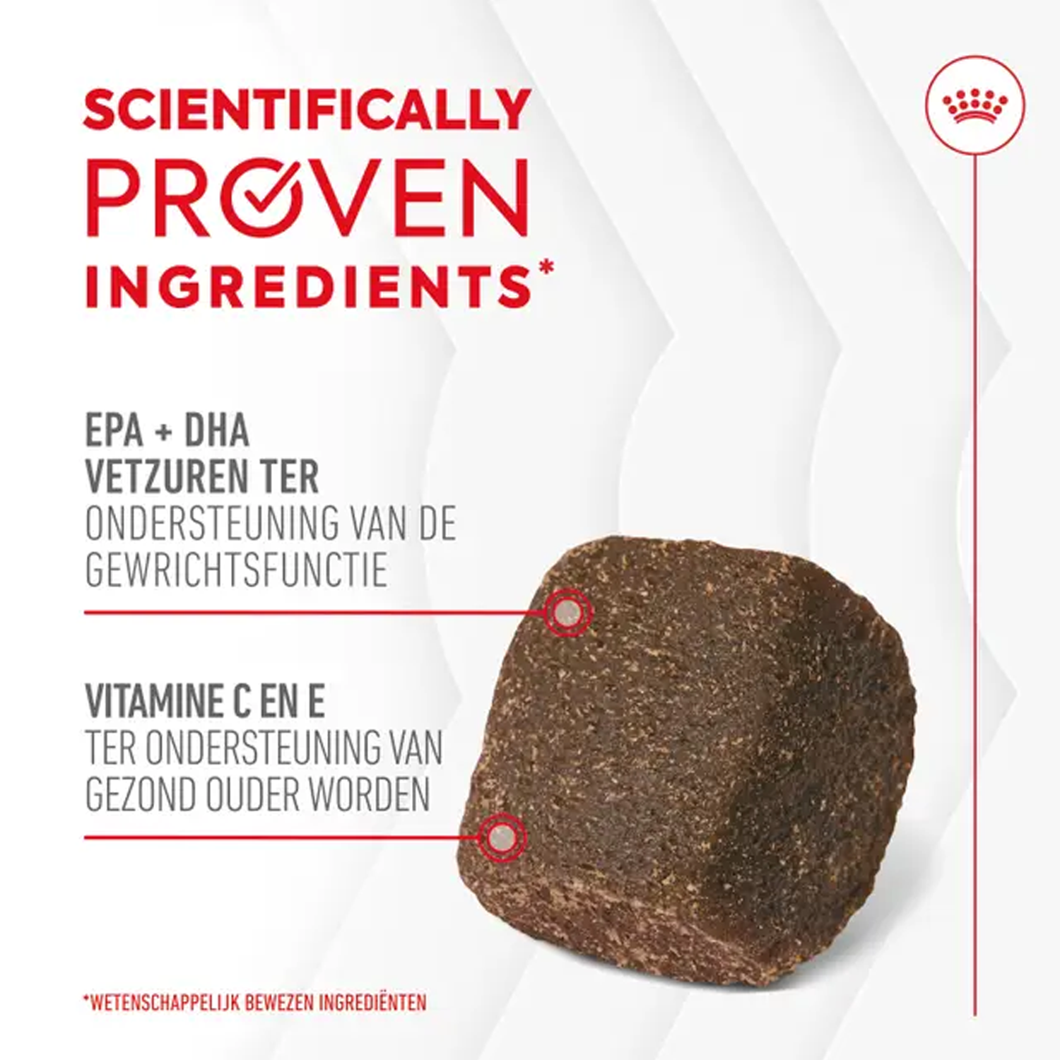 Royal Canin Joint & Ageing Supplements Chews Hond