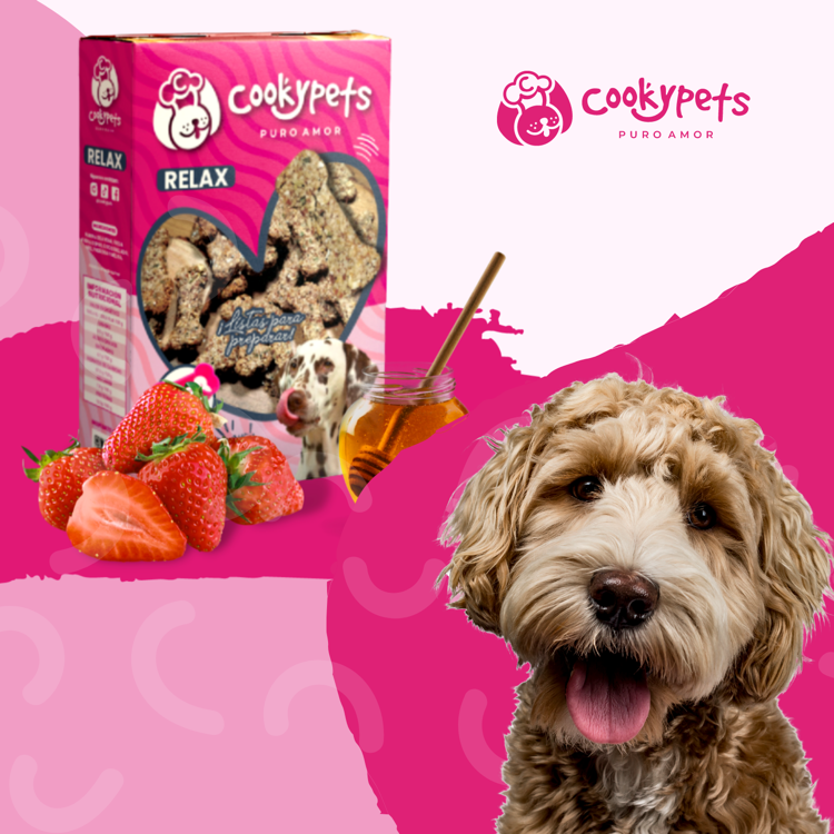 Biscoitos caseiros de morango e coco para cães. Receitas para fazer em casa. COOKYPETS