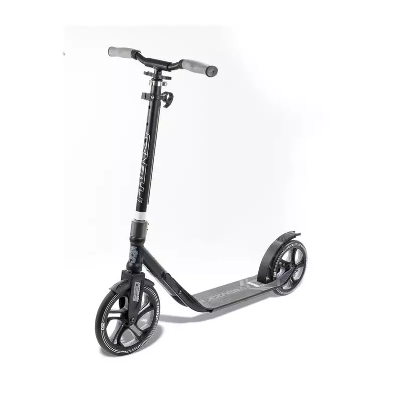 Trottinette Adulte FRENZY FR250 Recreational