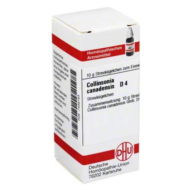 DHU Collinsonia canadensis D 4 G, 10 g