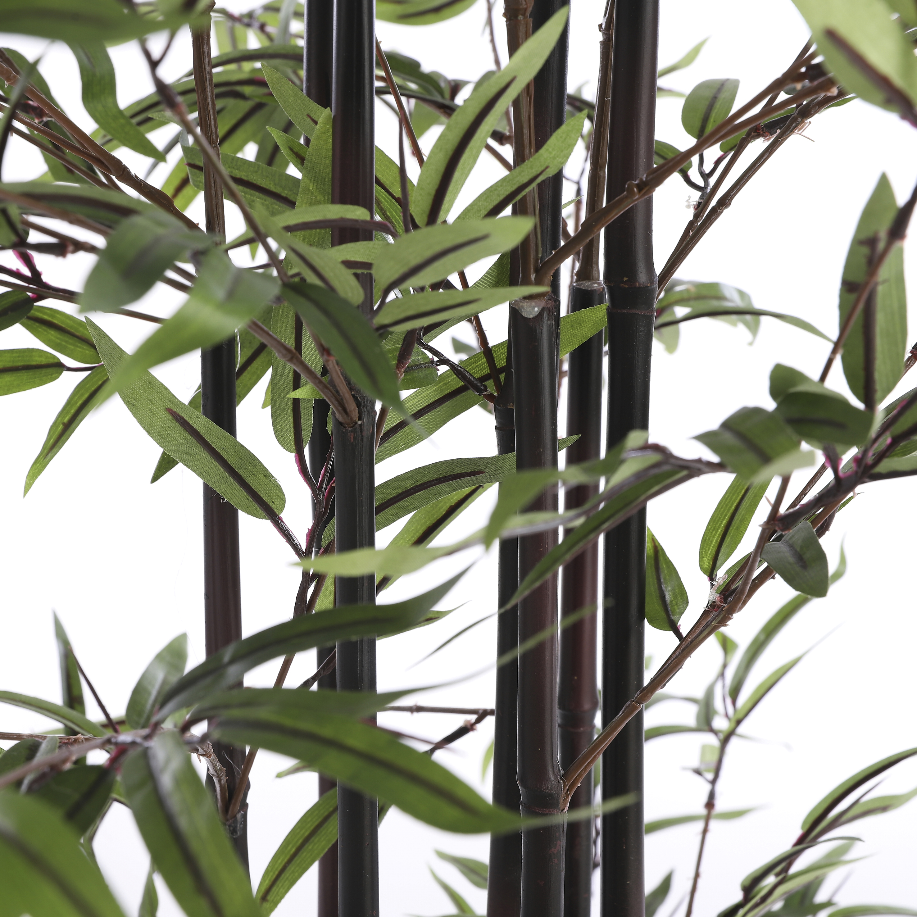 Mica decorations bambou h150 vert avec tribus noires