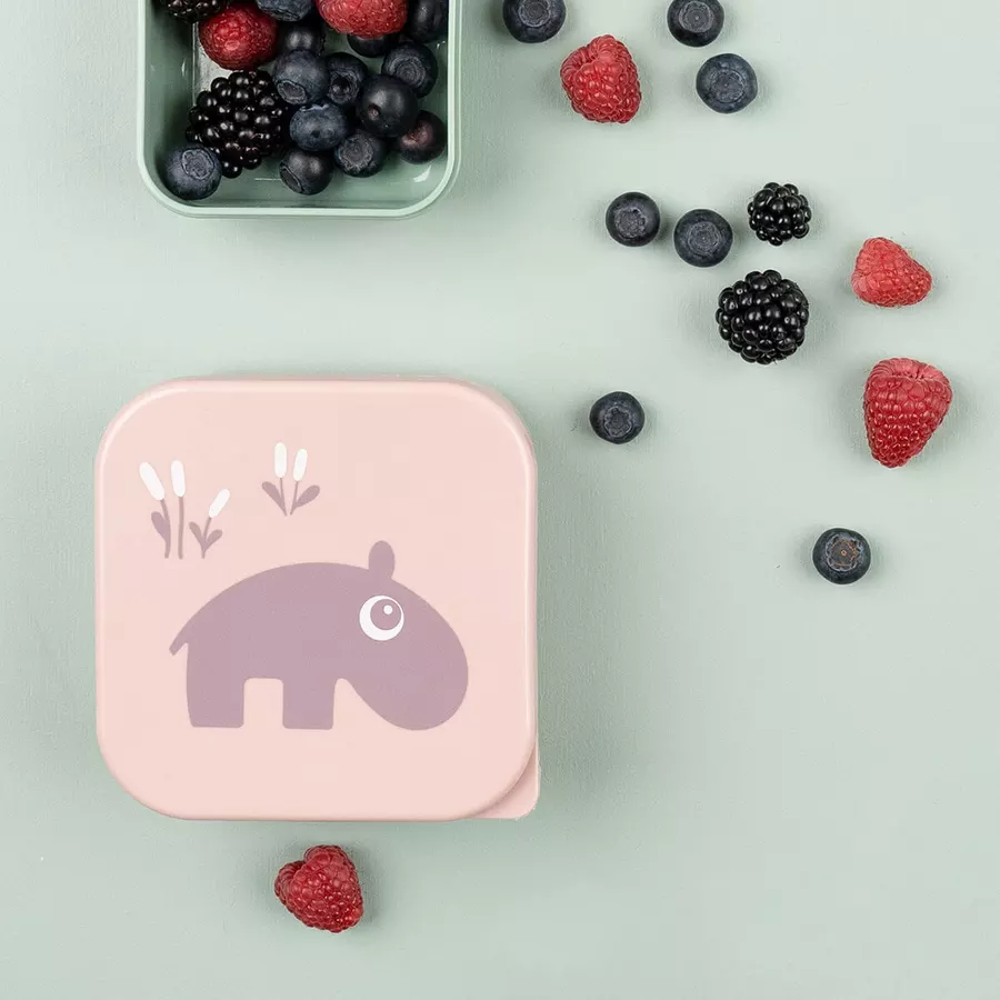 Done by Deer™ Snackbox-Set Deer friends Rosa 3-er Pack