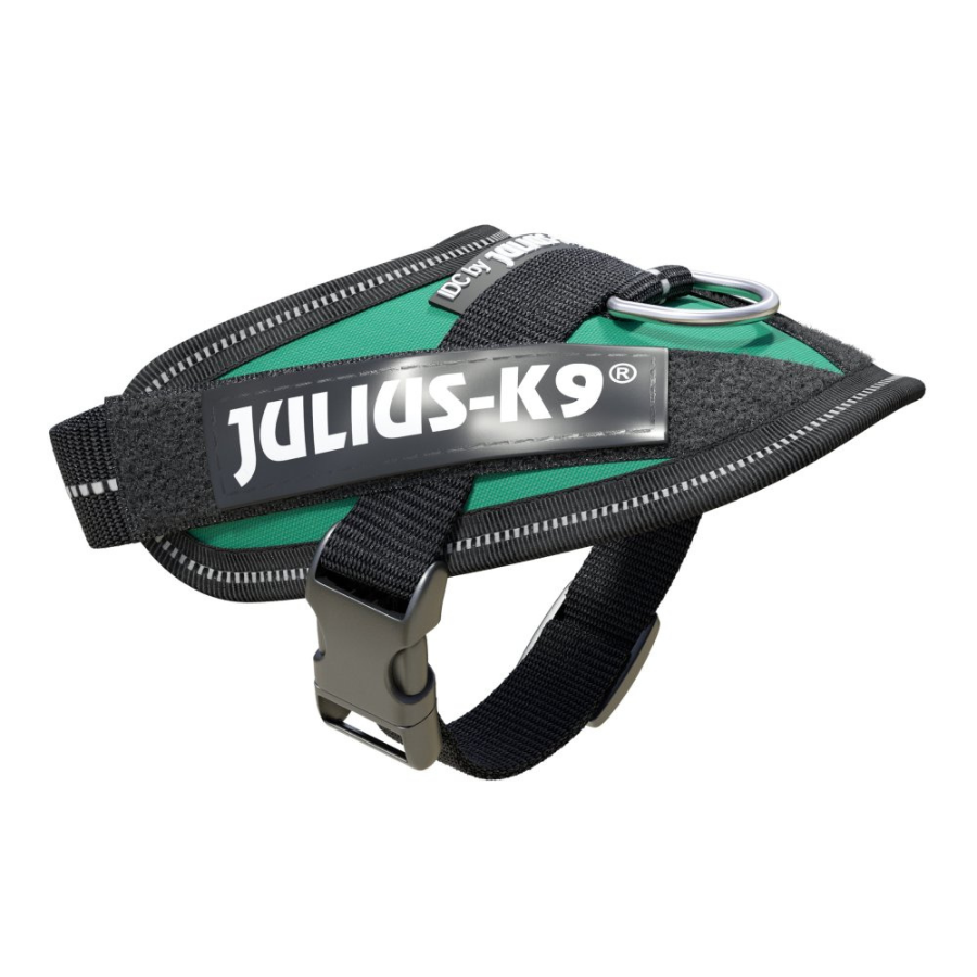 Coleira para cães Julius K9, verde-água