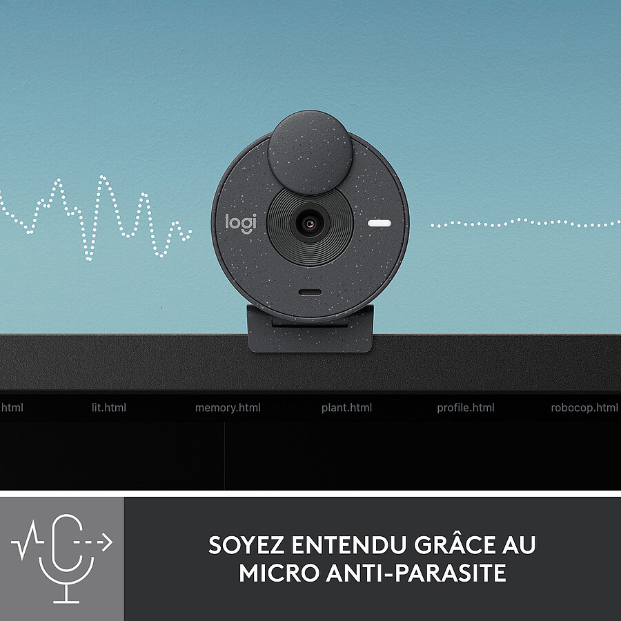 Logitech Brio 300 - Graphite