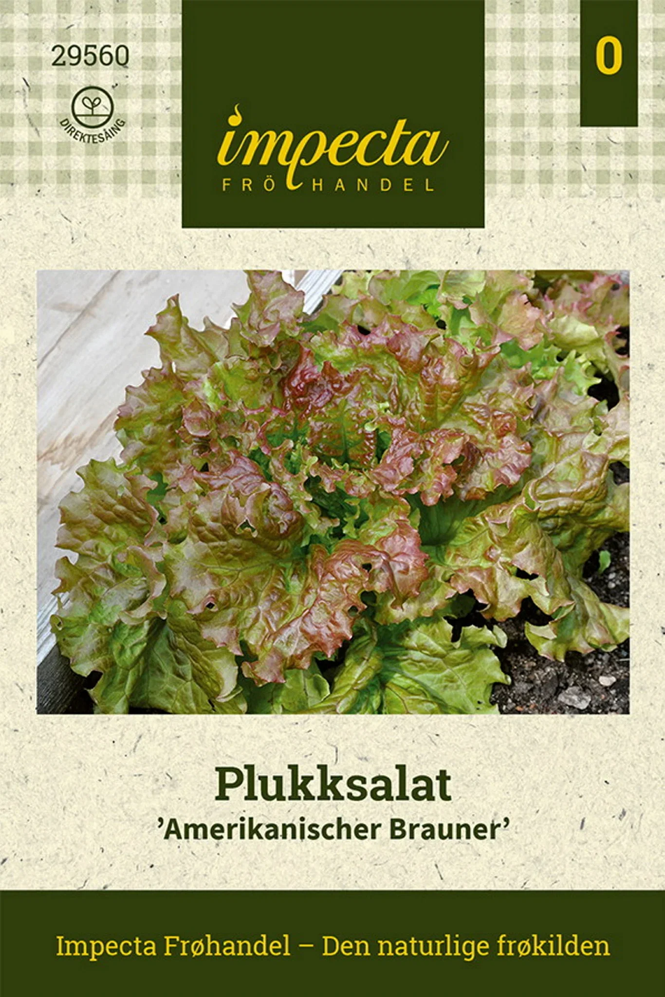 Lactuca sativa 'Amerikanischer Brauner' Plukksalat 'Amerikanischer Brauner'