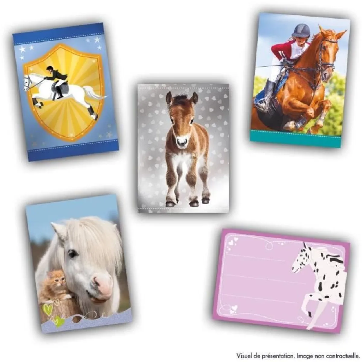 Panini Boîte de cartes Chevaux