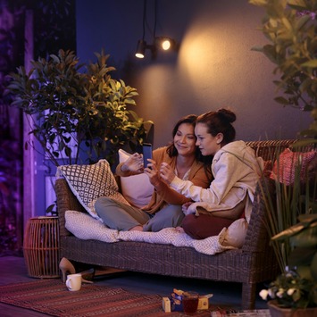 Philips Hue tuinspot Lily zwart - wit en gekleurd licht 8W - 1 spot