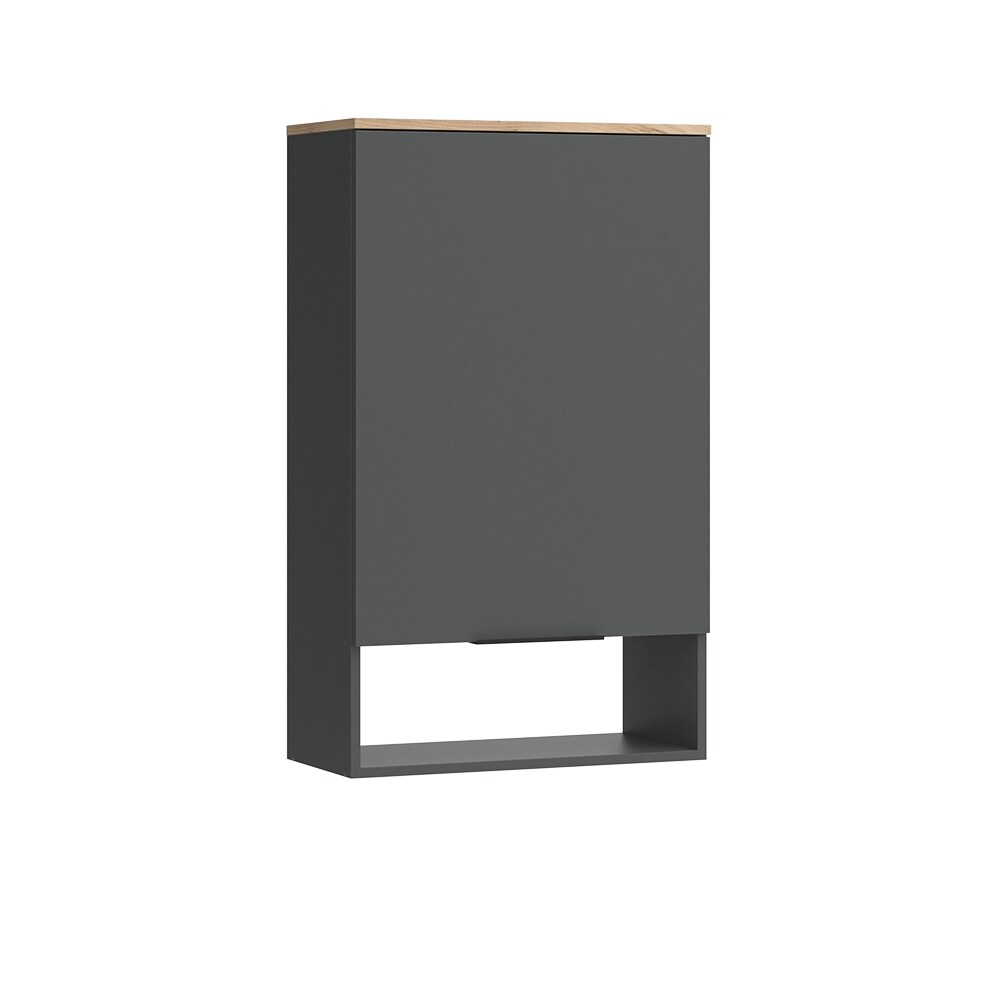 Vicco Hängeschrank Wido Anthrazit Eiche 60 x 100 cm mit Tür