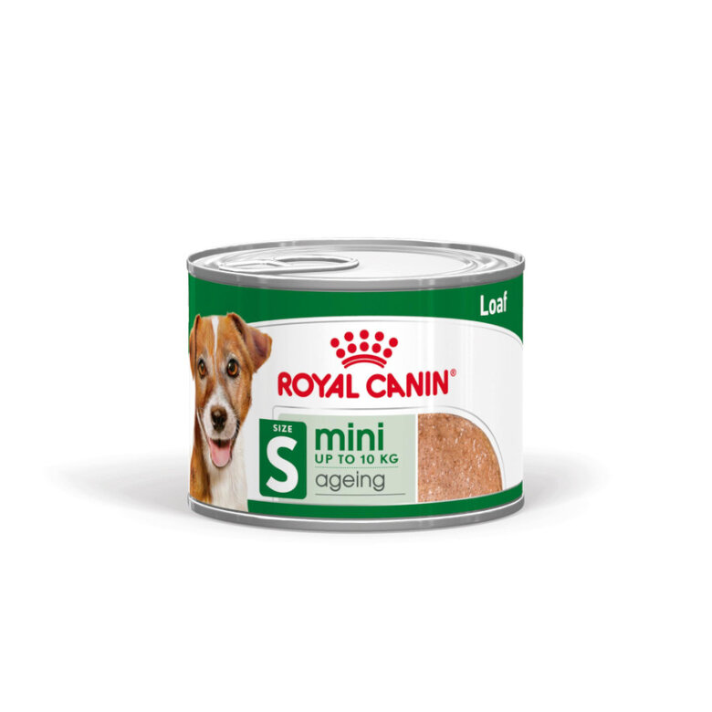 Areia higiênica Royal Canin Mini 8+ para cães idosos