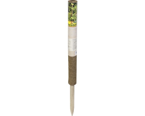 Kokosnoot plantensteker, FloraSelf Nature, H 60 cm Ø 40 mm, bruin, uitschuifbaar