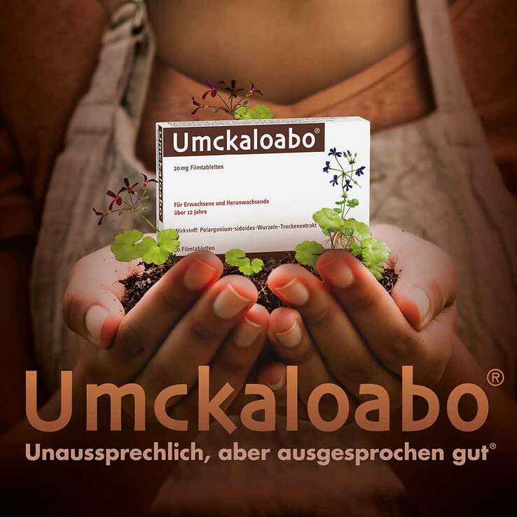 Umckaloabo 20 mg Filmtabletten, 60 St