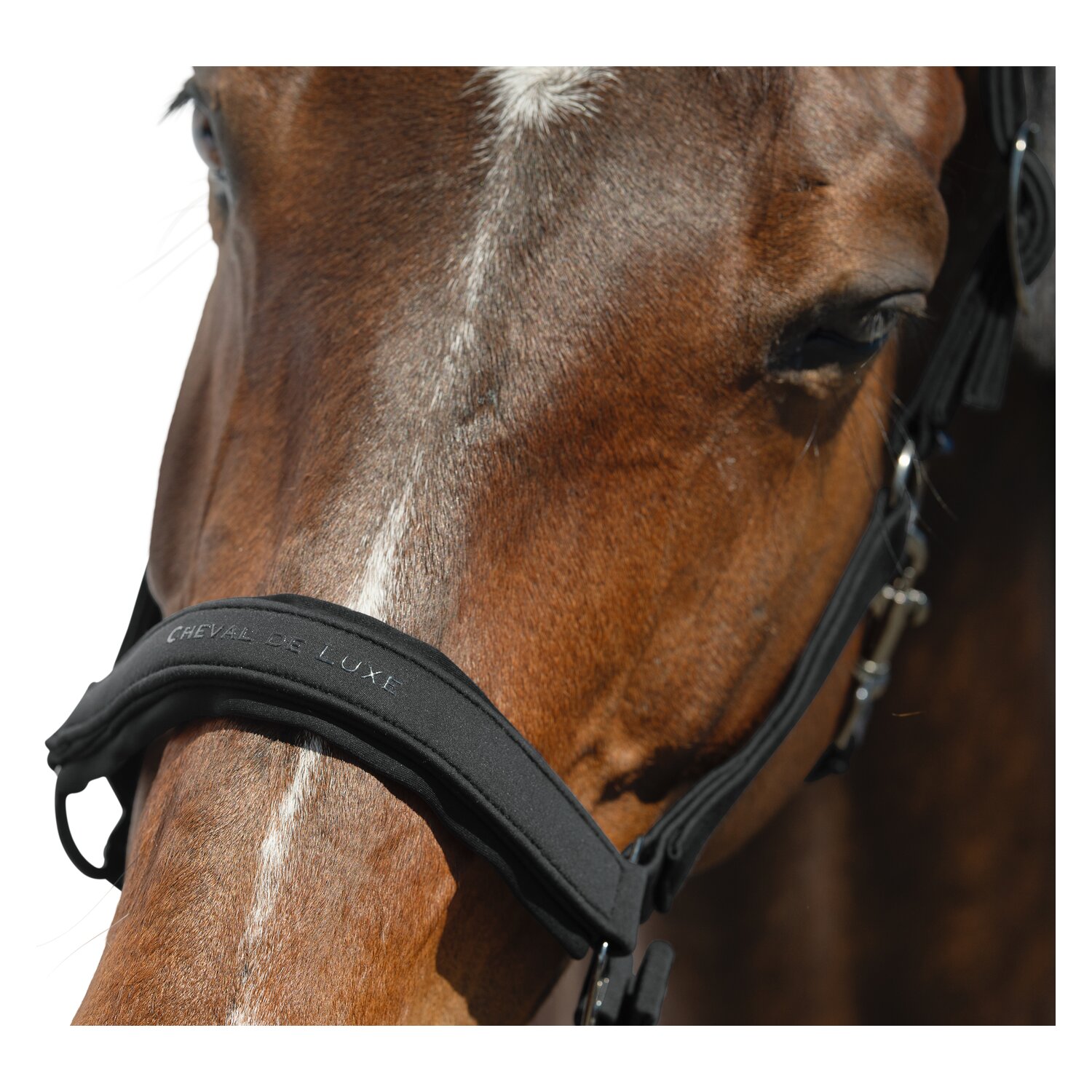 Cheval de Luxe Halfter Toulouse  - schwarz