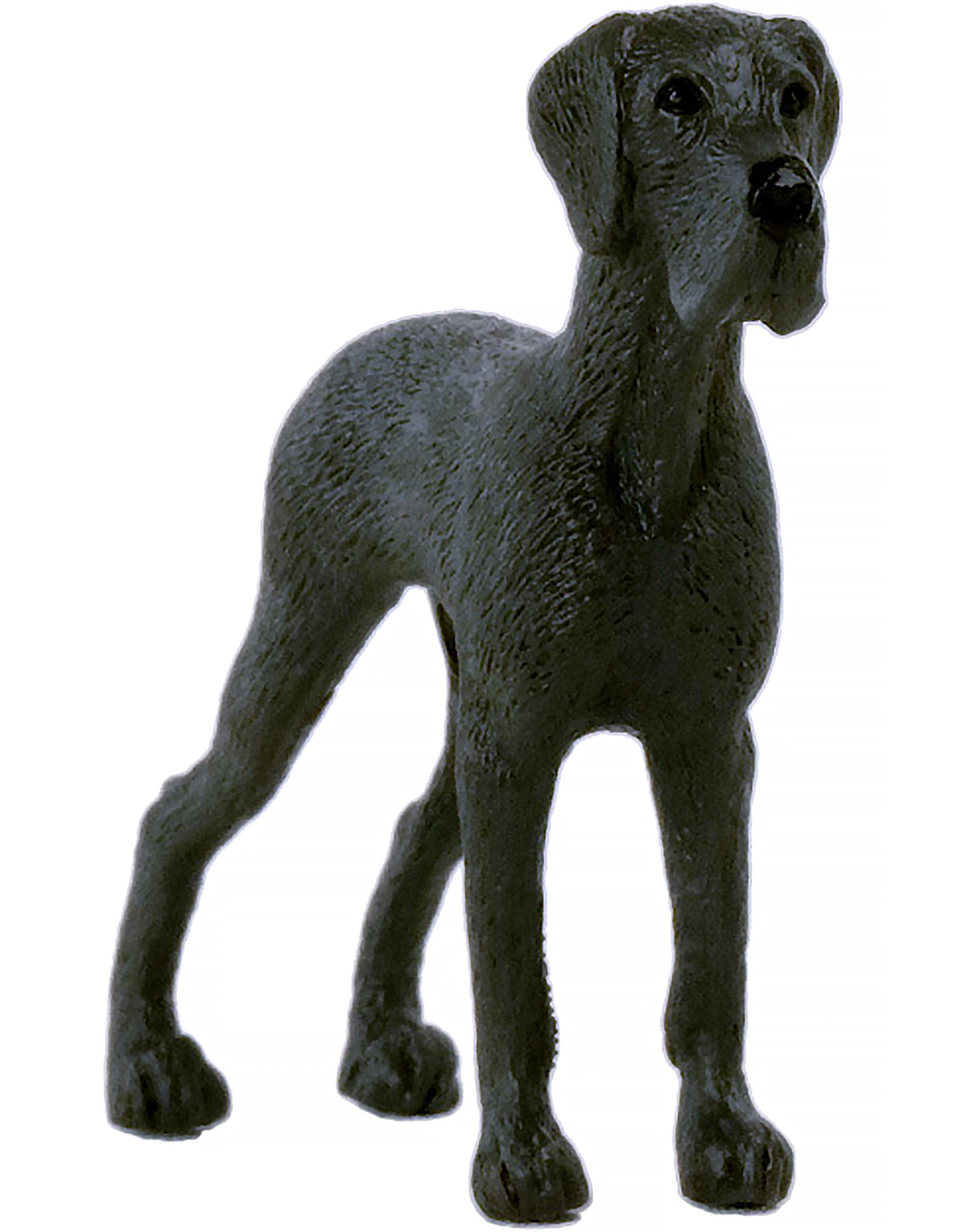 schleich® 13962 Farm World - Dänische Dogge