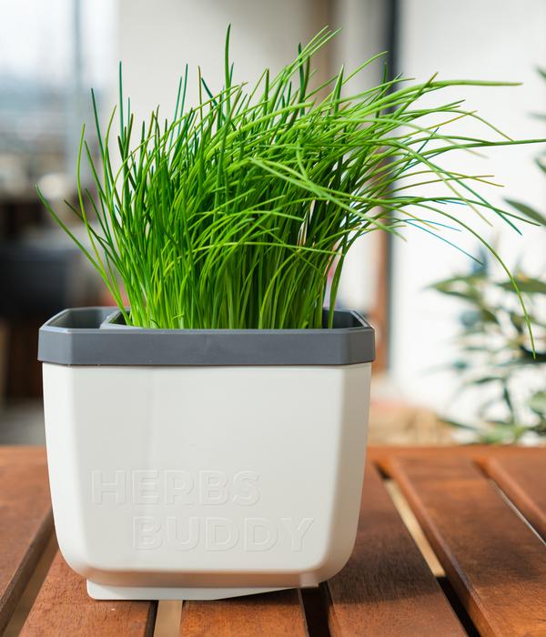 Gusta Garden Kräutertopf Herbs Buddy, ca.