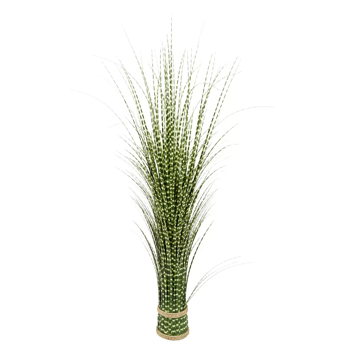 Grasbündel Zebragras / Ondega grün,creme