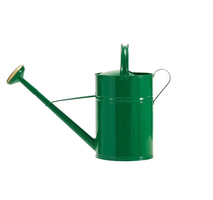House Doctor Arrosoir Wan en métal | Vert
