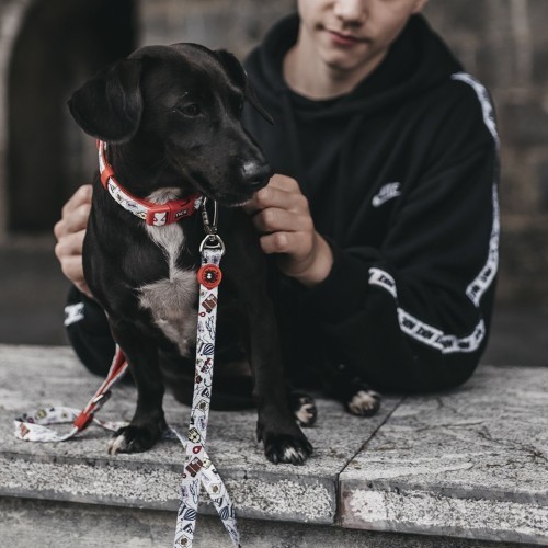 Guia de viagem vermelha para cães