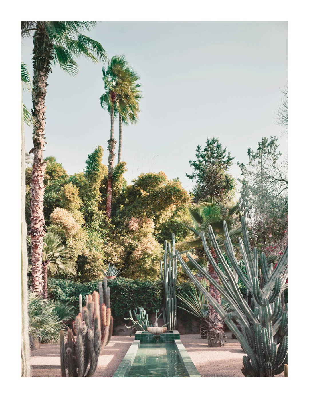 Jardin Majorelle by Simon Watson - Limited Edition. Edition of: 150. Signed.