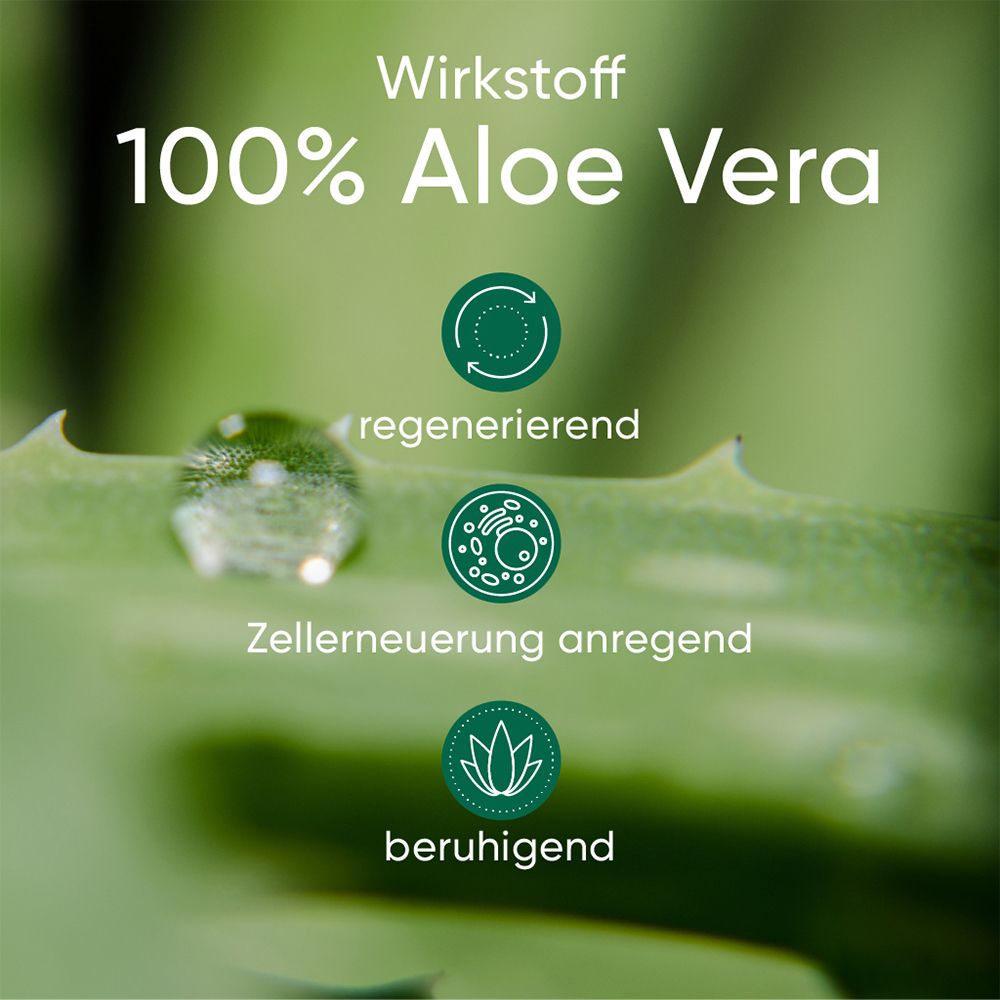 APRICOT Brustwarzen Pads mit Aloe Vera