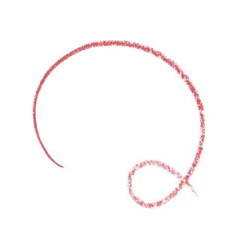 Soft & Precise Lip Pencil 207 My Passion