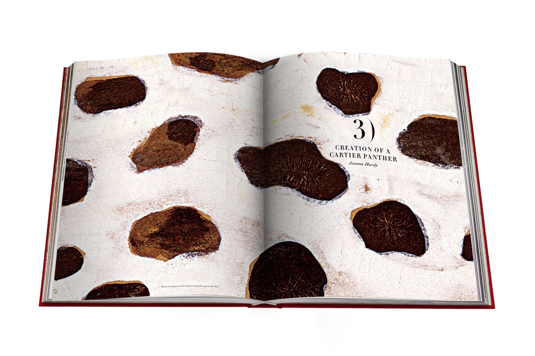 Assouline Cartier Panthère