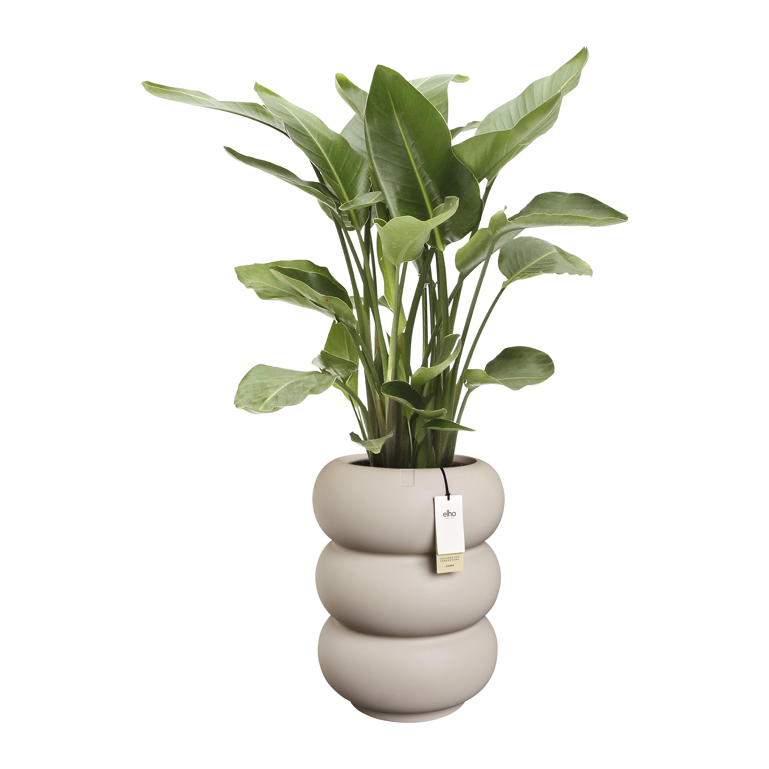 Elho Amber Roll High 43 - Balanced beige - Ã 43 x H 58 cm - Binnen en Buiten - 100% gerecycled kunststof