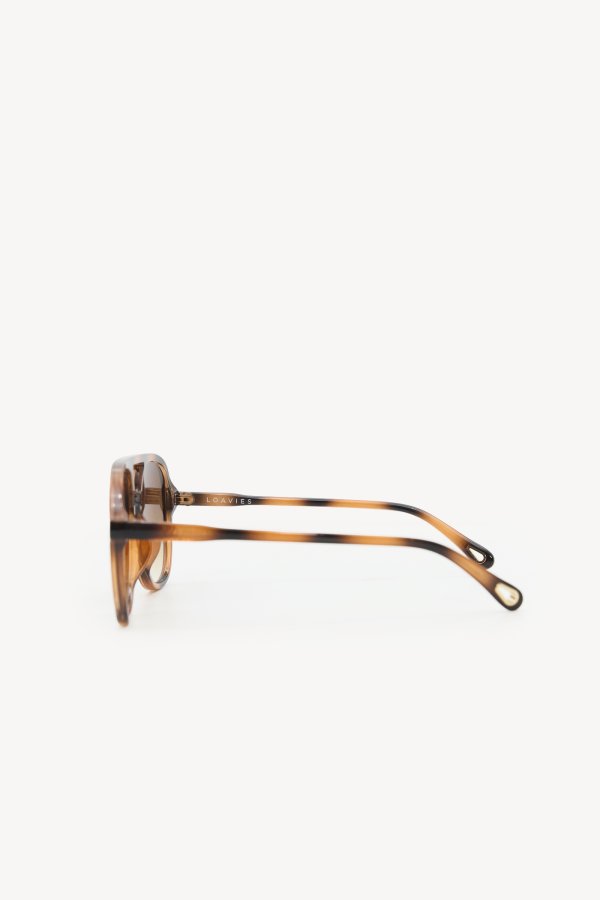 CATCHING YOUR EYE - BROWN
