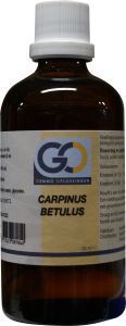 Go Carpinus betulus 100ml