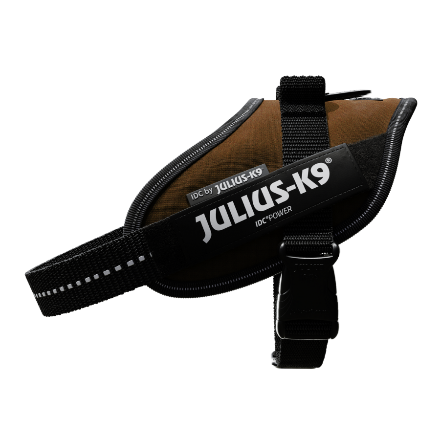 Coleira para cães Julius K9, cor chocolate