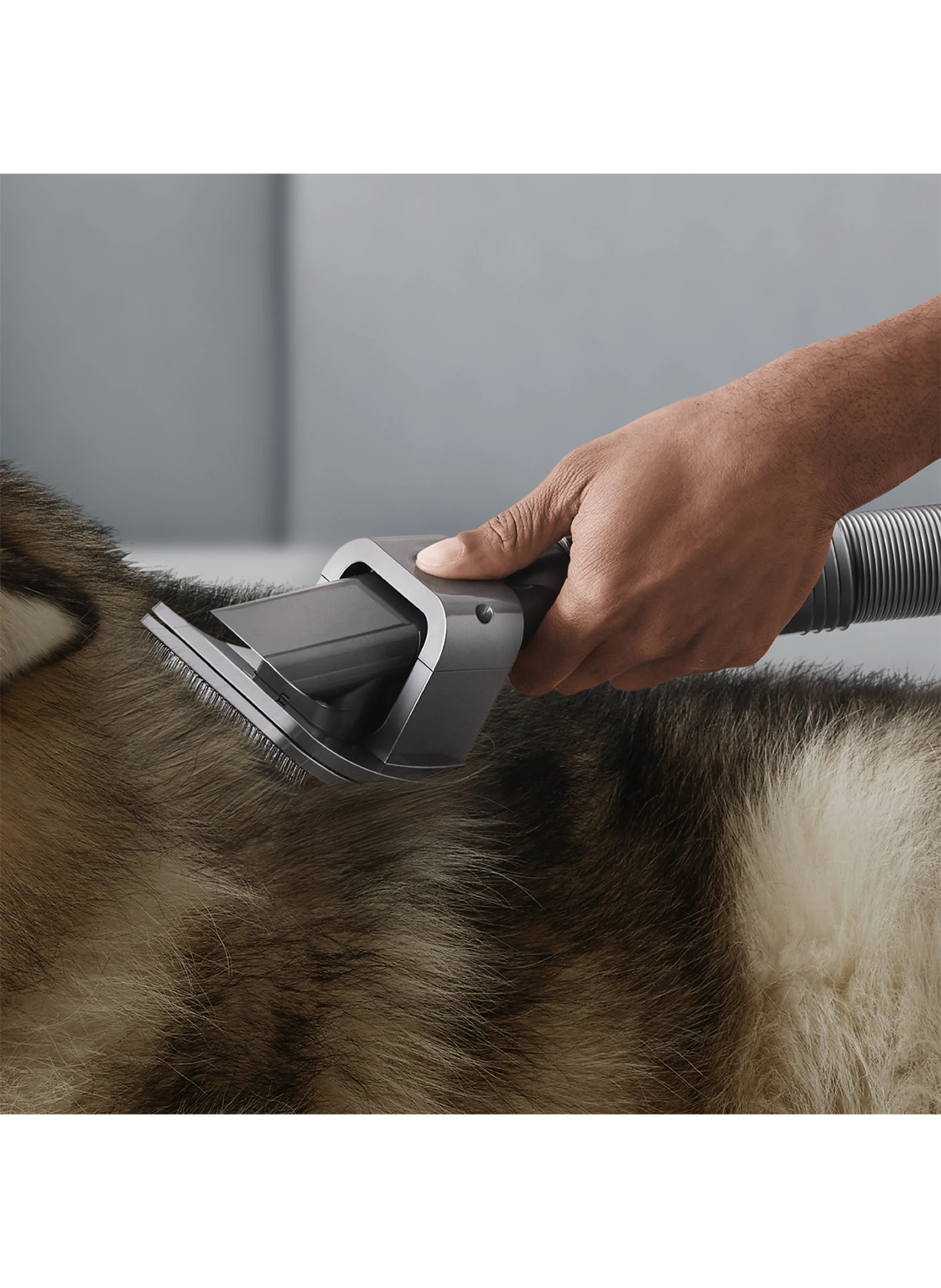 dyson HAUSTIERPFLEGESET