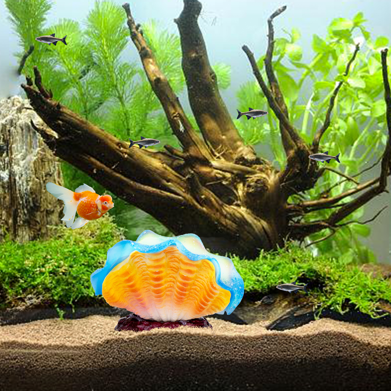 Nobleza - Plantas e conchas luminosas para aquário, decoração luminosa para tanque de peixes