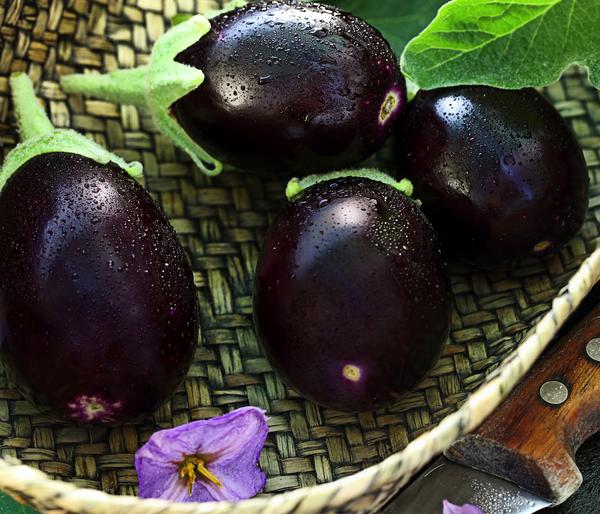 Mini Aubergine