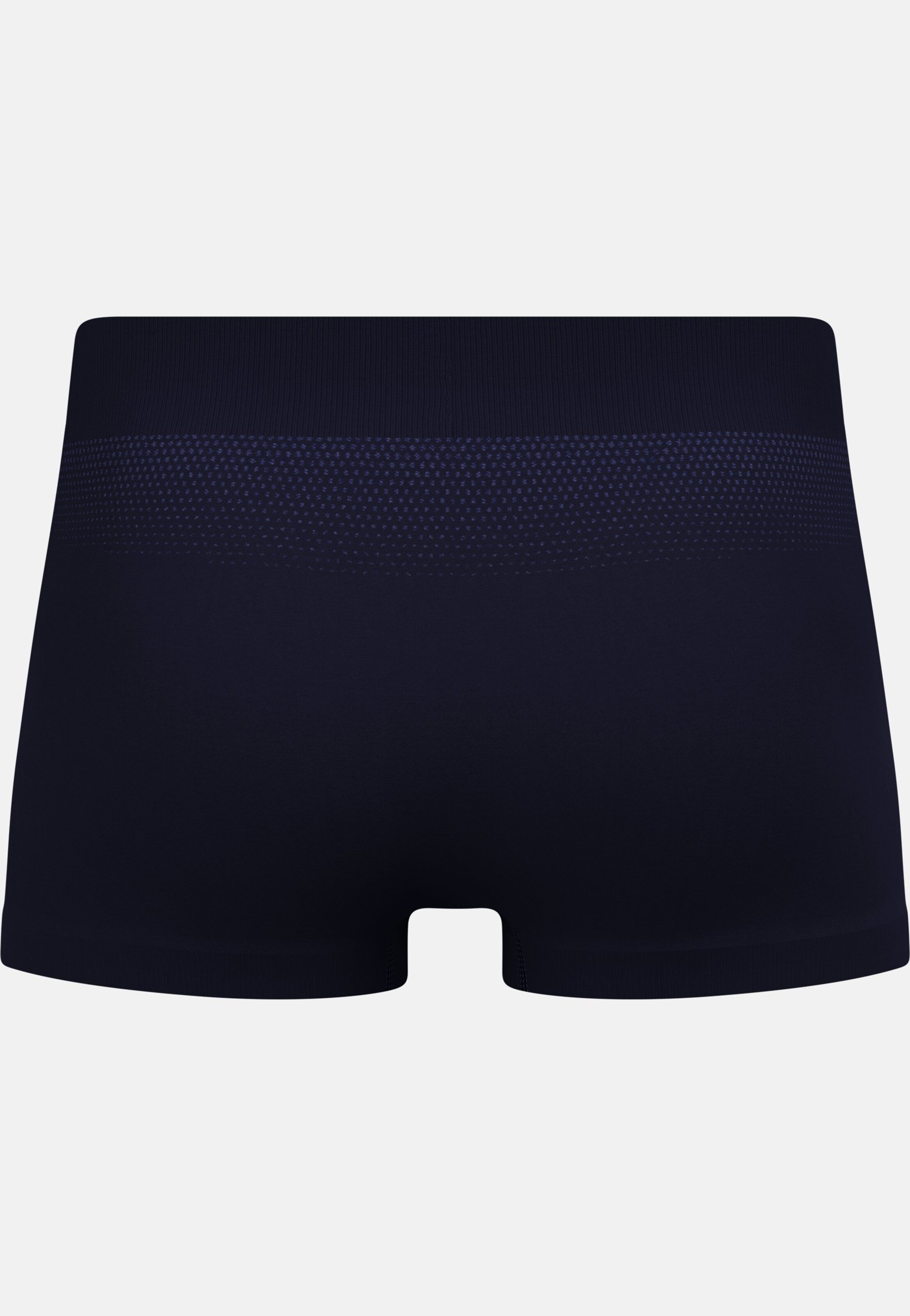 Performance Light Panty in eclipse