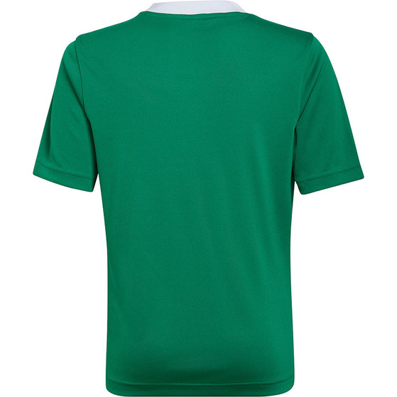 adidas Entrada 22 Training Shirt Kids