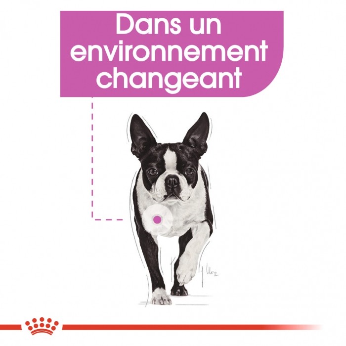 Royal Canin Mini Relax Care - Croquettes pour chien