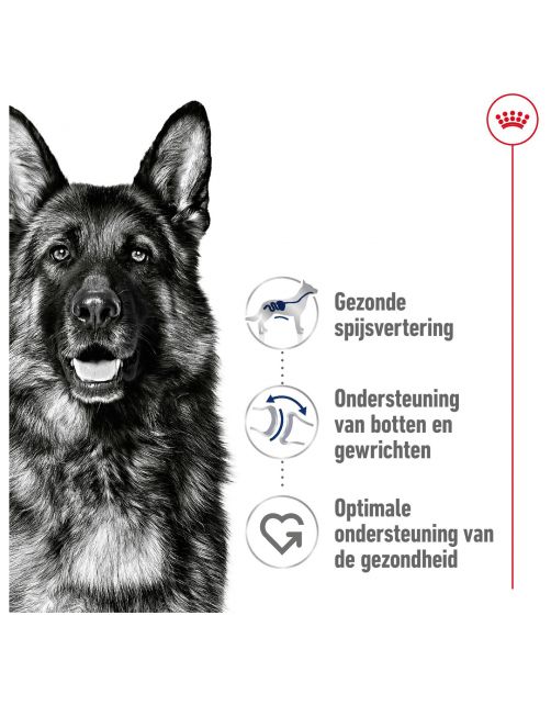 Royal Canin Maxi Adult - Hondenvoer