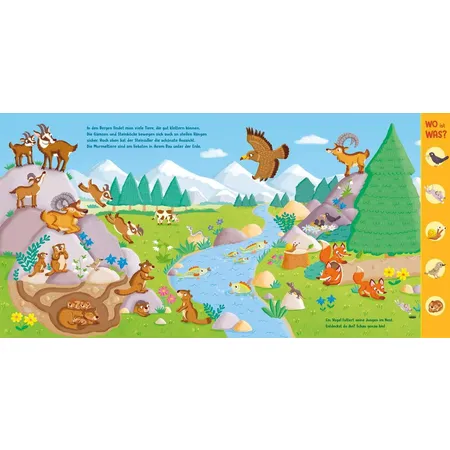Tessloff WO ist WAS? Kunterbunte Welt der Tiere