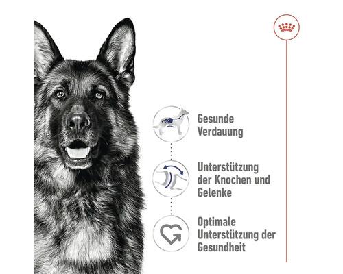 ROYAL CANIN Maxi Adult droog hondenvoer 4 kg